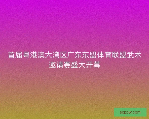首届粤港澳大湾区广东东盟体育联盟武术邀请赛盛大开幕