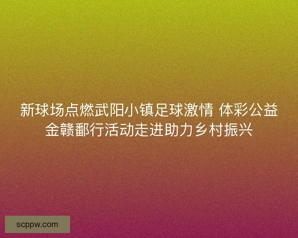 新球场点燃武阳小镇足球激情 体彩公益金赣鄱行活动走进助力乡村振兴